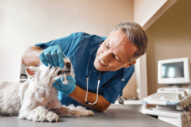 Best 24-Hour Emergency Dentist in Nicoma Park, OK