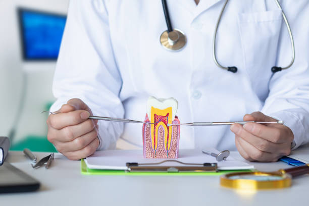 Best Holiday Emergency Dentist in Nicoma Park, OK